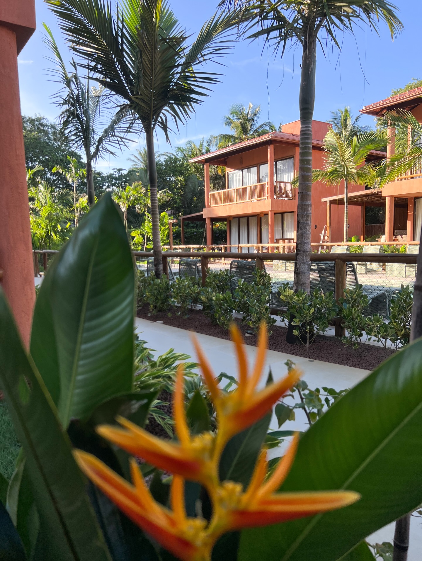 Vila Anambé